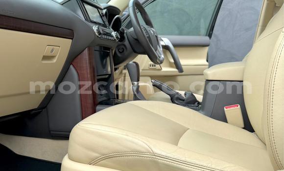 Tenga Itsva Toyota Land Cruiser Prado Nhema Mota in Maputo in Maputo Tenga Itsva Toyota Land Cruiser Prado Nhema Mota in Maputo in Maputo