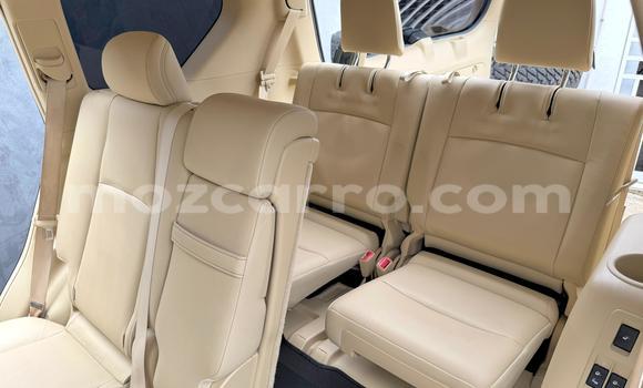 Tenga Itsva Toyota Land Cruiser Prado Nhema Mota in Maputo in Maputo Tenga Itsva Toyota Land Cruiser Prado Nhema Mota in Maputo in Maputo