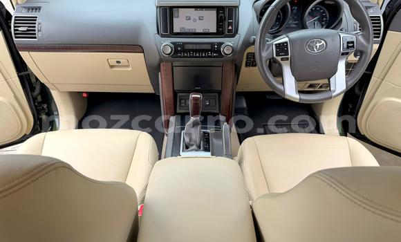 Tenga Itsva Toyota Land Cruiser Prado Nhema Mota in Maputo in Maputo Tenga Itsva Toyota Land Cruiser Prado Nhema Mota in Maputo in Maputo