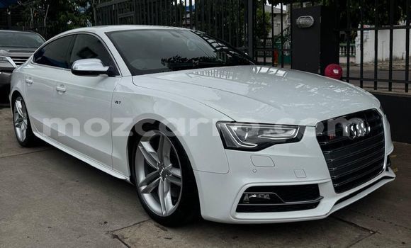 Tenga Tsaru Audi S5 Chena Mota in Maputo in Maputo Tenga Tsaru Audi S5 Chena Mota in Maputo in Maputo