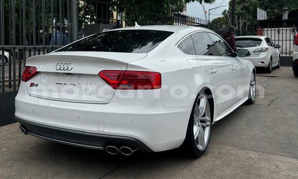 Tenga Tsaru Audi S5 Chena Mota in Maputo in Maputo Tenga Tsaru Audi S5 Chena Mota in Maputo in Maputo