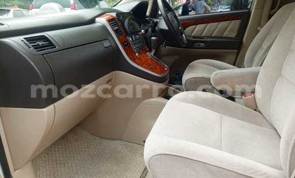 Tenga Tsaru Toyota Alphard Chena Mota in Maputo in Maputo Tenga Tsaru Toyota Alphard Chena Mota in Maputo in Maputo