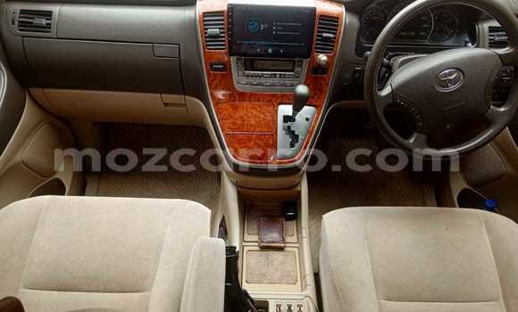 Tenga Tsaru Toyota Alphard Chena Mota in Maputo in Maputo Tenga Tsaru Toyota Alphard Chena Mota in Maputo in Maputo