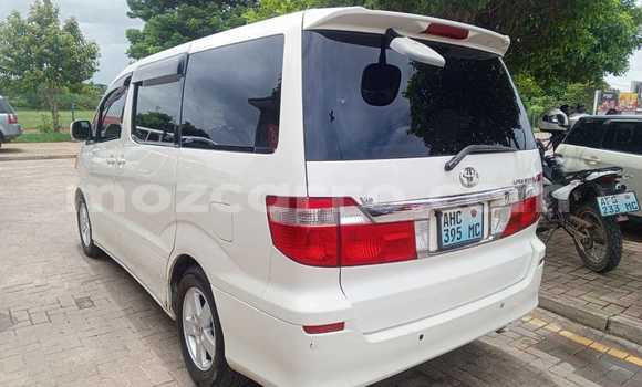 Tenga Tsaru Toyota Alphard Chena Mota in Maputo in Maputo Tenga Tsaru Toyota Alphard Chena Mota in Maputo in Maputo