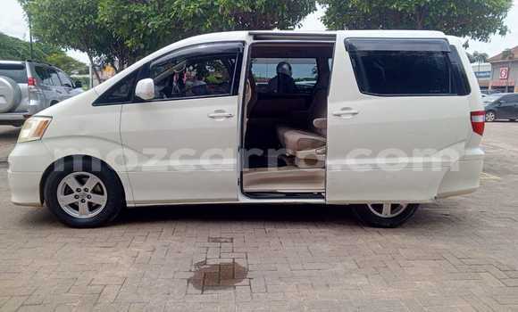 Tenga Tsaru Toyota Alphard Chena Mota in Maputo in Maputo Tenga Tsaru Toyota Alphard Chena Mota in Maputo in Maputo
