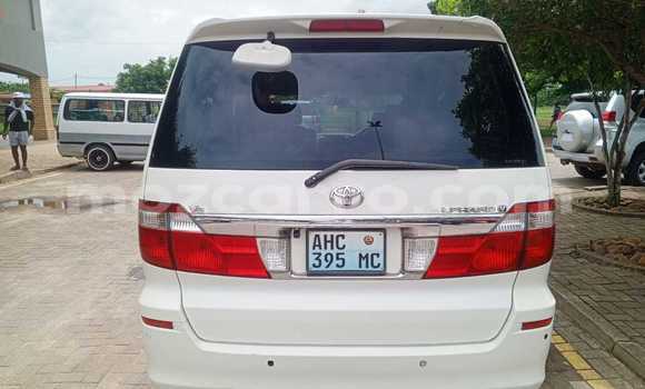Tenga Tsaru Toyota Alphard Chena Mota in Maputo in Maputo Tenga Tsaru Toyota Alphard Chena Mota in Maputo in Maputo