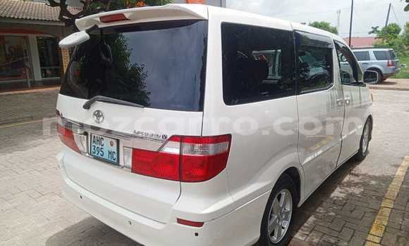Tenga Tsaru Toyota Alphard Chena Mota in Maputo in Maputo Tenga Tsaru Toyota Alphard Chena Mota in Maputo in Maputo