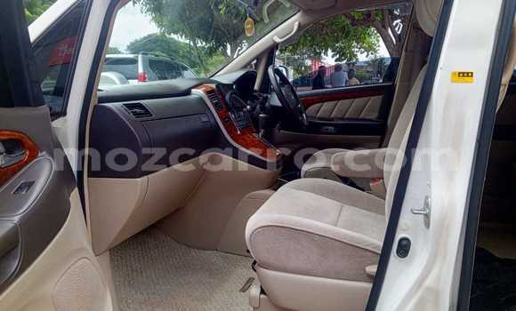 Tenga Tsaru Toyota Alphard Chena Mota in Maputo in Maputo Tenga Tsaru Toyota Alphard Chena Mota in Maputo in Maputo