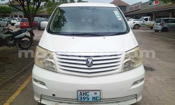 Tenga Tsaru Toyota Alphard Chena Mota in Maputo in Maputo Tenga Tsaru Toyota Alphard Chena Mota in Maputo in Maputo