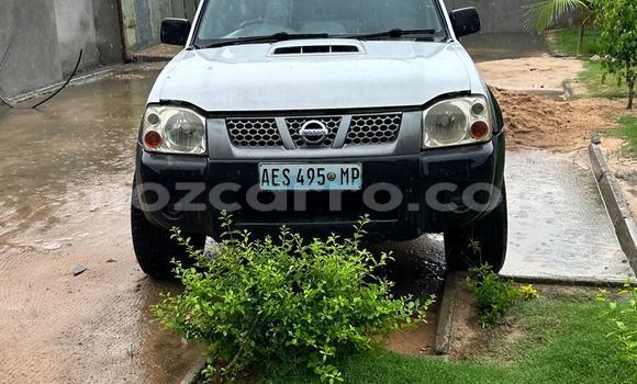 Comprar Usado Nissan Hardbody Branco Carro em Maputo em Maputo Comprar Usado Nissan Hardbody Branco Carro em Maputo em Maputo