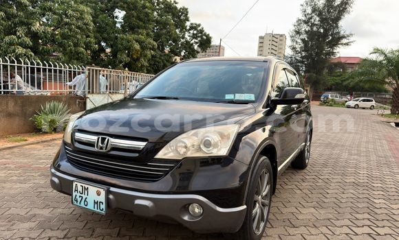 Tenga Tsaru Honda CR-V Nhema Mota in Maputo in Maputo