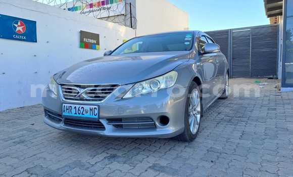 Buy Used Toyota Mark X Brown Car in Maputo in Maputo Buy Used Toyota Mark X Brown Car in Maputo in Maputo