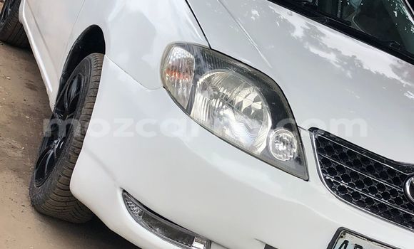 Tenga Tsaru Toyota Corolla Chena Mota in Maputo in Maputo