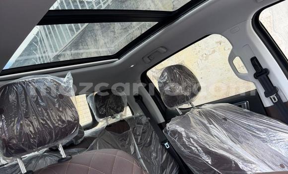 Buy New Foton Tunland Other Car in Maputo in Maputo Buy New Foton Tunland Other Car in Maputo in Maputo