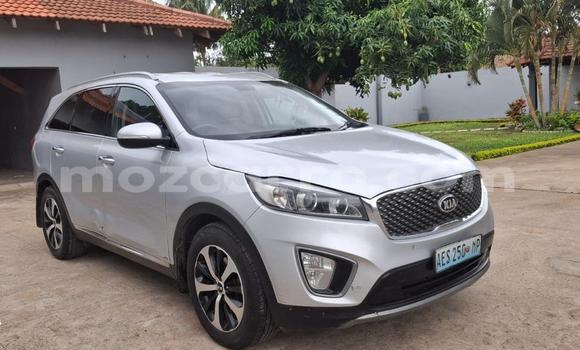 Tenga Tsaru Kia Sorento Sirivha Mota in Maputo in Maputo Tenga Tsaru Kia Sorento Sirivha Mota in Maputo in Maputo