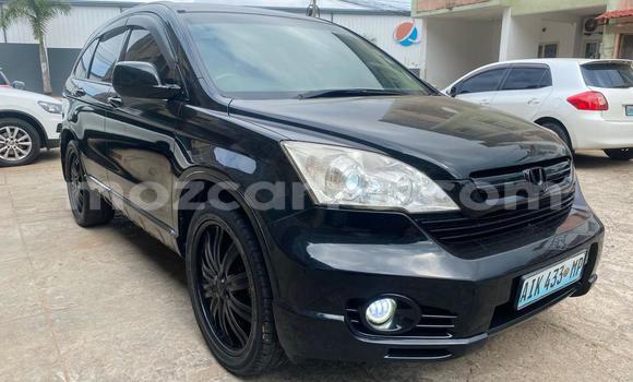 Tenga Tsaru Honda CR-V Nhema Mota in Maputo in Maputo