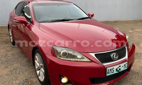 Comprar Usado Lexus IS Castanho Carro em Maputo em Maputo Comprar Usado Lexus IS Castanho Carro em Maputo em Maputo