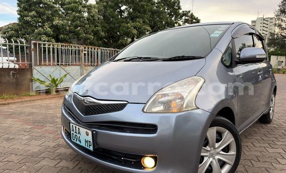 Buy Used Toyota Ractis Other Car in Maputo in Maputo Buy Used Toyota Ractis Other Car in Maputo in Maputo