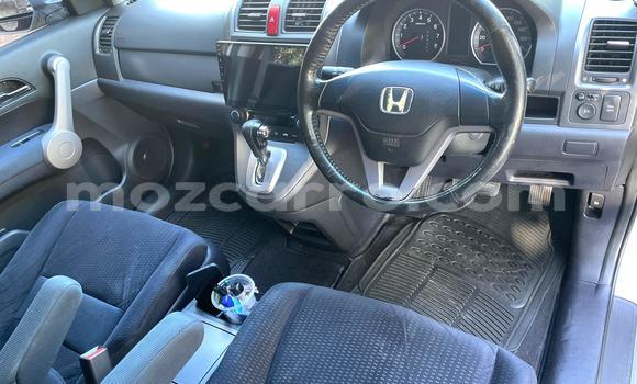 Comprar Usado Honda CR-V Other Carro em Maputo em Maputo Comprar Usado Honda CR-V Other Carro em Maputo em Maputo