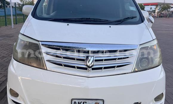 Comprar Usado Toyota Alphard Branco Carro em Maputo em Maputo