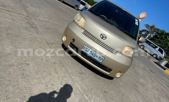 Buy Used Toyota Porte Brown Car in Maputo in Maputo