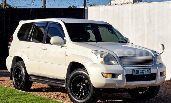 Nunua Ilio tumika Toyota Land Cruiser Prado Nyeupe Gari ndani ya Maputo nchini Maputo Nunua Ilio tumika Toyota Land Cruiser Prado Nyeupe Gari ndani ya Maputo nchini Maputo