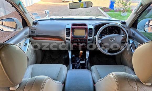 Nunua Ilio tumika Toyota Land Cruiser Prado Nyeupe Gari ndani ya Maputo nchini Maputo Nunua Ilio tumika Toyota Land Cruiser Prado Nyeupe Gari ndani ya Maputo nchini Maputo