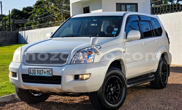 Nunua Ilio tumika Toyota Land Cruiser Prado Nyeupe Gari ndani ya Maputo nchini Maputo Nunua Ilio tumika Toyota Land Cruiser Prado Nyeupe Gari ndani ya Maputo nchini Maputo
