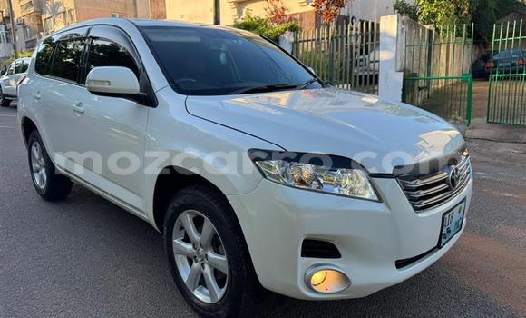 Buy Used Toyota Vanguard White Car in Maputo in Maputo