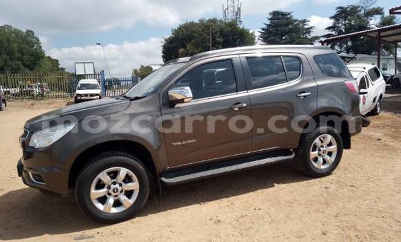 Comprar Usado Chevrolet TrailBlazer Castanho Carro em Maputo em Maputo
