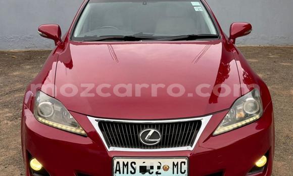 Comprar Usado Lexus IS Castanho Carro em Maputo em Maputo