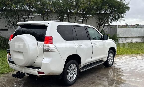 Buy Used Toyota Land Cruiser Prado White Car in Maputo in Maputo Buy Used Toyota Land Cruiser Prado White Car in Maputo in Maputo