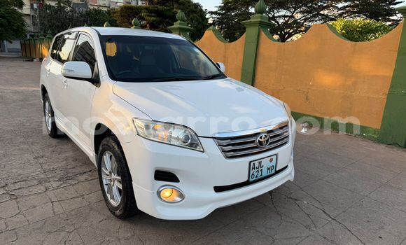 Buy Used Toyota Vanguard White Car in Maputo in Maputo Buy Used Toyota Vanguard White Car in Maputo in Maputo