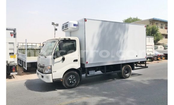 Comprar Importar Hino 300 Series Branco Caminhão em Import - Dubai em Cabo Delgado