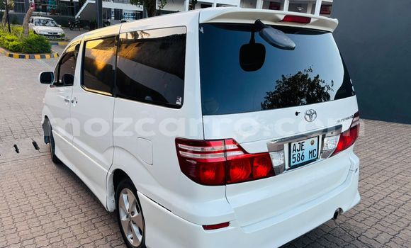 Comprar Usado Toyota Alphard Branco Carro em Maputo em Maputo Comprar Usado Toyota Alphard Branco Carro em Maputo em Maputo