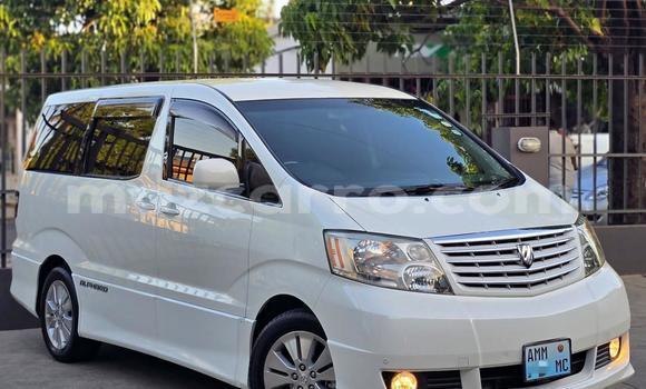 Comprar Usado Toyota Alphard Branco Carro em Maputo em Maputo Comprar Usado Toyota Alphard Branco Carro em Maputo em Maputo