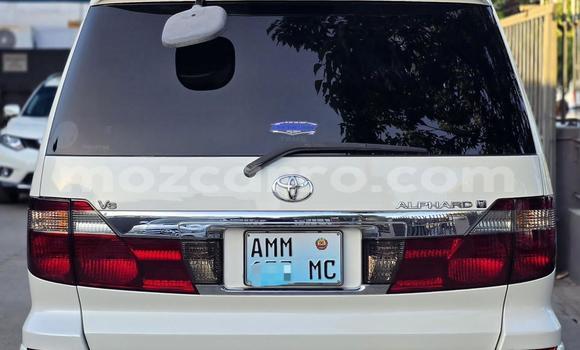 Comprar Usado Toyota Alphard Branco Carro em Maputo em Maputo Comprar Usado Toyota Alphard Branco Carro em Maputo em Maputo