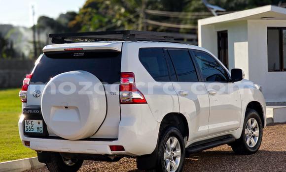 Comprar Usado Toyota Land Cruiser Prado Branco Carro em Maputo em Maputo Comprar Usado Toyota Land Cruiser Prado Branco Carro em Maputo em Maputo