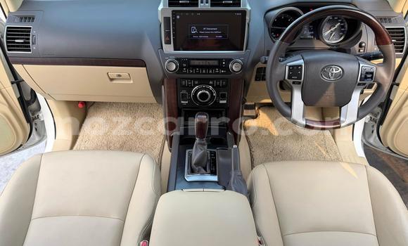 Buy Used Toyota Land Cruiser Prado White Car in Maputo in Maputo Buy Used Toyota Land Cruiser Prado White Car in Maputo in Maputo