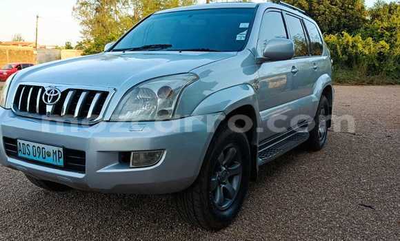 Tenga Tsaru Toyota Land Cruiser Prado Sirivha Mota in Maputo in Maputo Tenga Tsaru Toyota Land Cruiser Prado Sirivha Mota in Maputo in Maputo