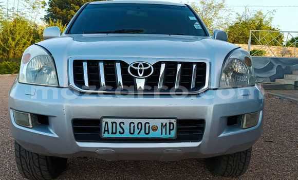 Tenga Tsaru Toyota Land Cruiser Prado Other Mota in Maputo in Maputo Tenga Tsaru Toyota Land Cruiser Prado Other Mota in Maputo in Maputo