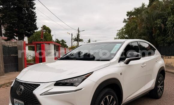 Comprar Usado Lexus NX Branco Carro em Maputo em Maputo