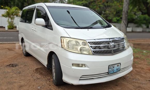 Comprar Usado Toyota Alphard Branco Carro em Maputo em Maputo