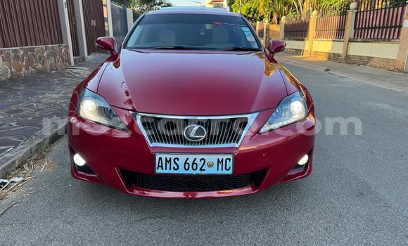 Buy Used Lexus IS Red Car in Maputo in Maputo