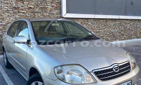 Comprar Usado Toyota Corolla Prata Carro em Maputo em Maputo
