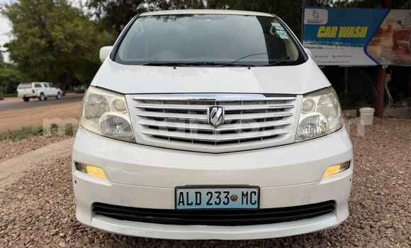 Tenga Tsaru Toyota Alphard Chena Mota in Maputo in Maputo Tenga Tsaru Toyota Alphard Chena Mota in Maputo in Maputo