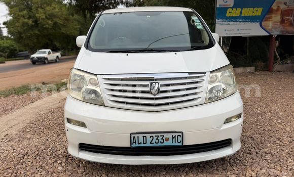 Tenga Tsaru Toyota Alphard Chena Mota in Maputo in Maputo Tenga Tsaru Toyota Alphard Chena Mota in Maputo in Maputo