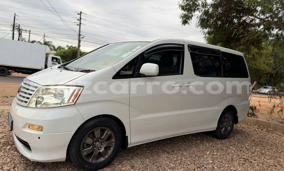 Tenga Tsaru Toyota Alphard Chena Mota in Maputo in Maputo Tenga Tsaru Toyota Alphard Chena Mota in Maputo in Maputo