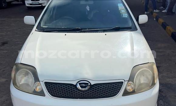 Nunua Ilio tumika Toyota Runx Nyeupe Gari ndani ya Maputo nchini Maputo