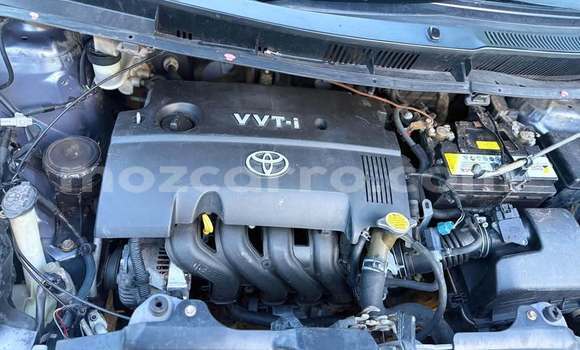 Comprar Usado Toyota Ractis Azul Carro em Bela Vista em Maputo Comprar Usado Toyota Ractis Azul Carro em Bela Vista em Maputo